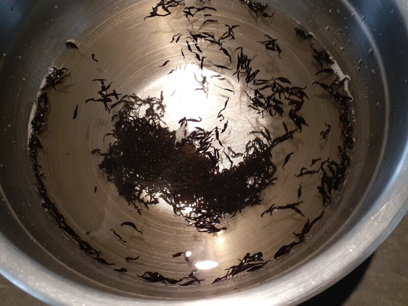 Dried Hijiki in water