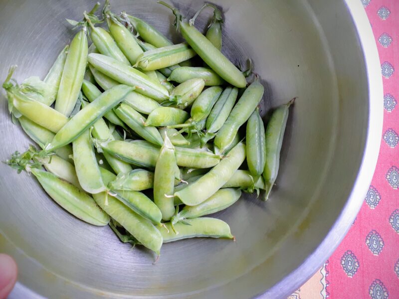 Green Peas from the Garden